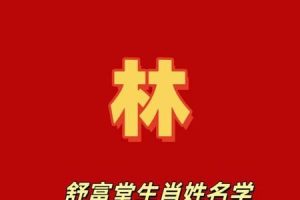 姓林的2025年05月27日出生男孩最佳取名