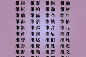 姓向的2025年05月27日现代与传统名字的结合