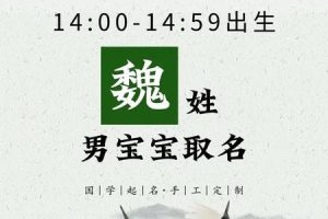 姓魏的2025年05月25日男孩最旺的名字