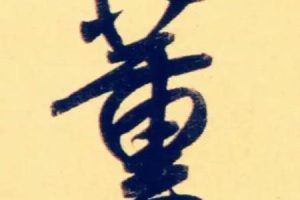 姓董的2025年05月26日出生取名要禁用哪些字