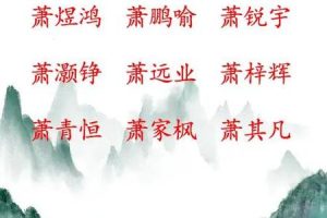 姓萧的2025年05月27日流行的宝宝名字