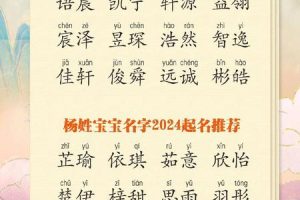 姓杨的2025年05月27日出生的宝宝用哪些偏旁字比较好