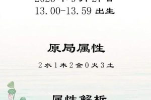 姓胡的2025年05月27日起名方法