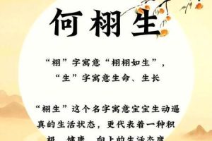 姓何的2025年05月29日出生男孩大气的名字