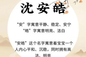 姓沈的2025年05月23日新生儿名字的创意