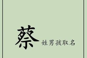 姓蔡的2025年05月27日出生男孩最佳取名