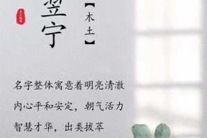 姓蔡的2025年05月26日新生儿名字的创意
