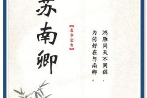 姓苏的2025年05月27日出生男孩大气的名字