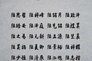 姓陆的2025年05月24日男孩最旺的名字