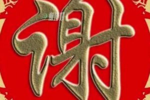 姓谢的2025年05月27日出生取名要禁用哪些字