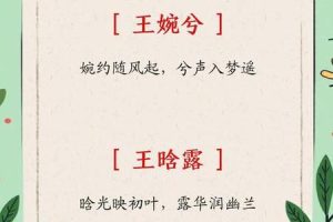姓王的2025年05月27日出生男孩最佳取名