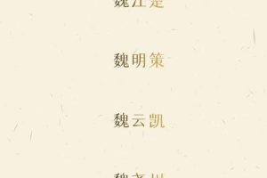 姓魏的2025年05月25日出生男孩最佳取名
