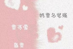 姓贾的2025年05月28日现代与传统名字的结合