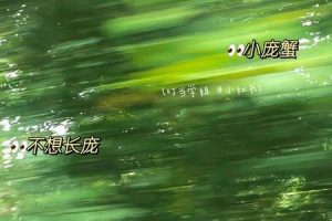 姓庞的2025年06月04日按照五行应该怎么取名