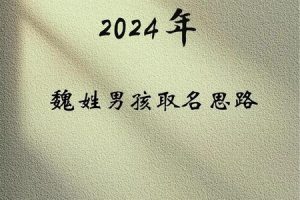 姓魏的2025年06月04日起名方法