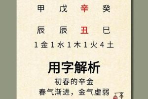 姓陆的2025年06月04日家族传承命名法