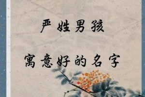 姓严的2025年06月03日新生儿名字的创意