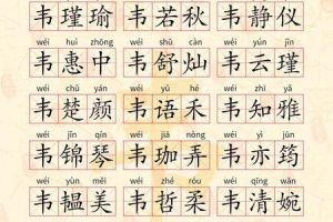 姓韦的2025年06月04日出生取名要禁用哪些字